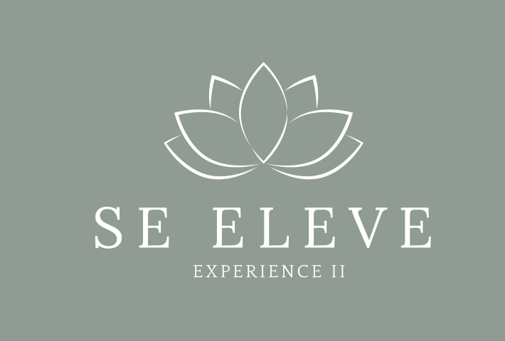 SE ELEVE EXPERIENCE II